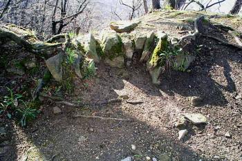  (© Jaroslav Řezáč 2004)