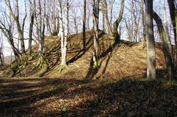  (© Jaroslav Řezáč 2004)