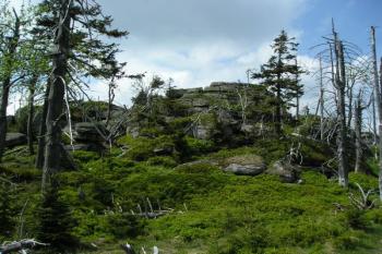 Holubník (© Jan Fišer, 05/2008)