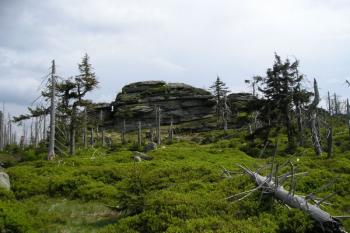 Holubník (© Jan Fišer, 05/2008)