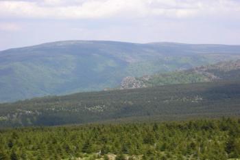 Holubník (© Jan Fišer, 05/2008)
