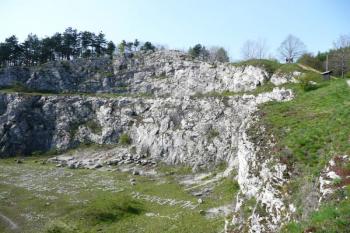 pohled na hlavní stěnu lomu Kamenárka ( © Jan P. Štěpánek 05/2008)