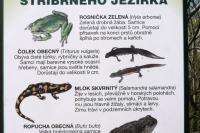 Kamenárka