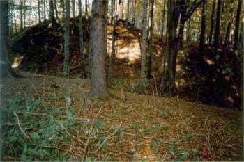  (Jirka Ansorge©1999)
