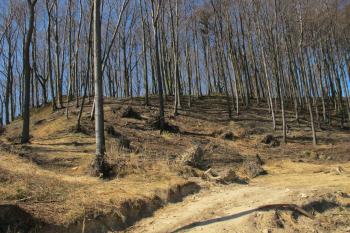 Hradní kopec od jv. (© Dušan Dohňanský 04/2020)