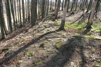 Linie vých. hradby (© Dušan Dohňanský 04/2020)