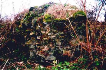 Hrad Nový Šaumburk ( © Martin Zvonek, 2002)