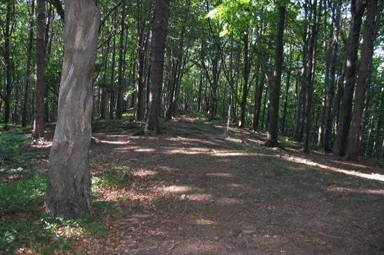 Šaumburk