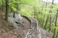 Pieniny