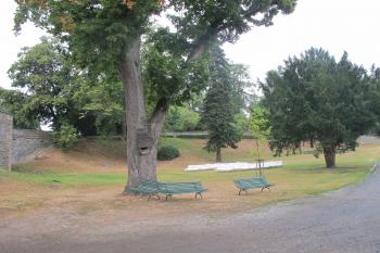 park (© D Dohňanský, 07/2018)