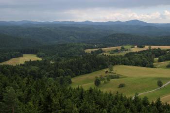  (© Zdeněk Susa, 07/2008)