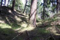 Šternek