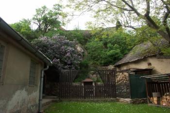 tvrziště od jihovýchodu ( © Milan Caha 06/2008)
