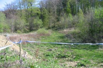 přístup k hradu od východu (© D Dohňanský, 04/2014)