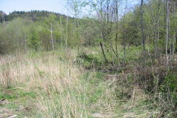 část nenarušeného předhradí (© D Dohňanský, 04/2014)