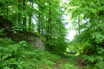 Zbytky hradu Tepenec (© Vlastislav Mareček, 05/2016)