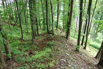 Val s rozpadlou hradbou na severozápadě ( © Roman Řezáč 06/2006)