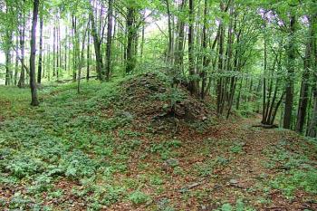 Jihovýchodní část předpolí, s přerušeným valem ( © Roman Řezáč 06/2006)