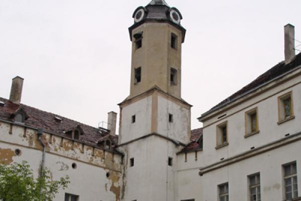 Jawor