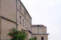 Jawor
