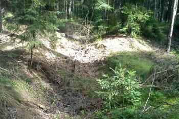 Mělký příkop kolem motte (© Jan Večeřa, 07/2014)