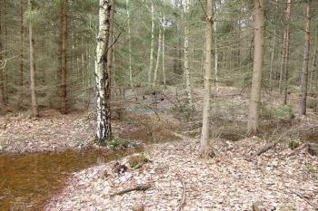 Napojení vyrovnávací vodní nádrže (vlevo) napájející příkopy ( © Roman Řezáč 03/2005)