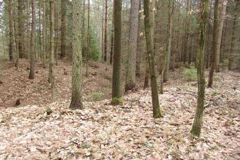 Pohled na příkop na jihozápadě ( © Roman Řezáč 03/2005)