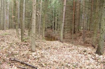 Západní příkop ( © Roman Řezáč 03/2005)