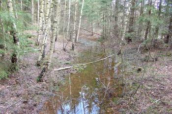 Východní příkop ( © Roman Řezáč 03/2005)
