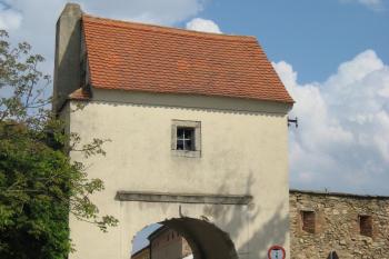  (© Zdeněk Susa, 05/2009)