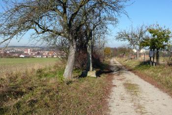 Cesta ke kostelu z Trhových Svinů (© Jiří Cukr, 10/2008)