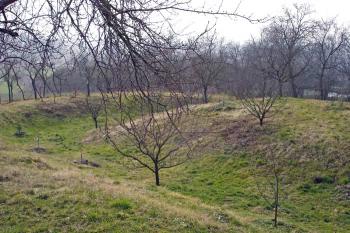  ( © iV 21.2. 2007)