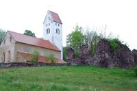 Świny