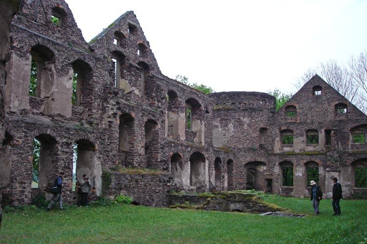 Świny