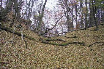 Příkop ( © Roman Řezáč 11/2003)