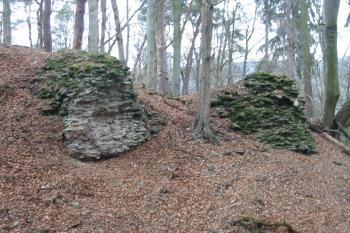  (© D Dohňanský, 12/2013)