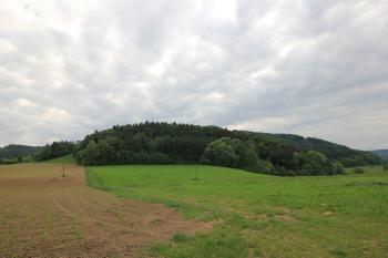 hradní vrch od silnice (© Luděk Vláčil, 05/2015)