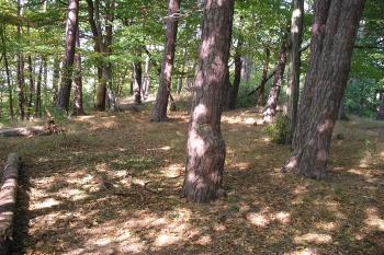 zřícenina hradu Vraní Hora (© Vlastislav Mareček, 09/2009)