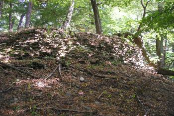 zřícenina hradu Vraní Hora (© Vlastislav Mareček, 09/2009)