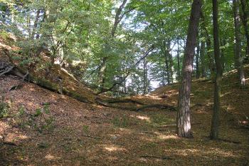 zřícenina hradu Vraní Hora (© Vlastislav Mareček, 09/2009)