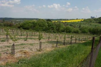 pohled z ulice Na Vinici ( © Milan Caha 06/2008)