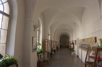  ( © Milan Caha 06/2008)