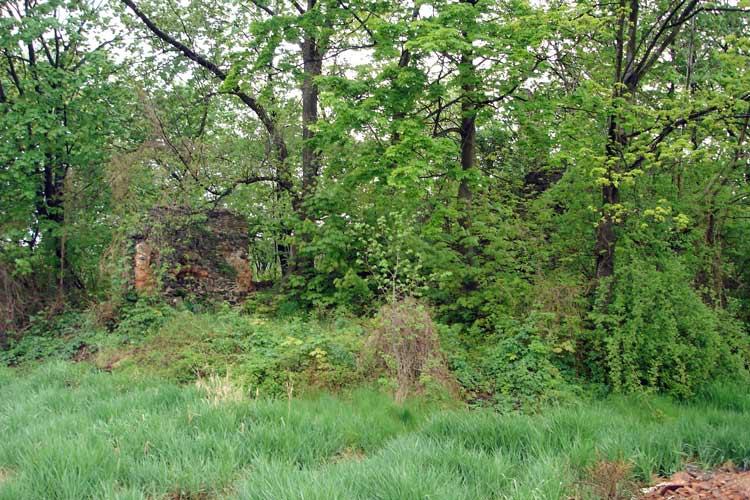 Kłaczyna