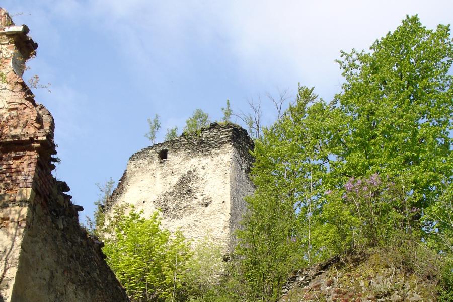 Niesytno