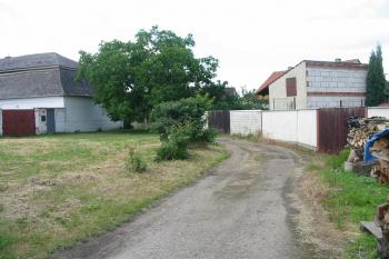 sev .hranice tvrziště (© D Dohňanský, 06/2015)