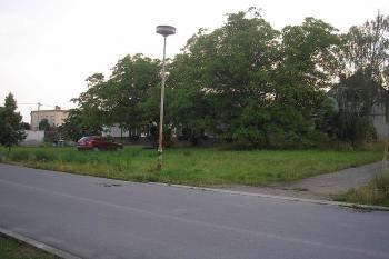 pohled od severovýchodu na předpokládané místo tvrze, v pozadí budovy zrušeného dvora ( © Ondřej Štěpánek 07/2008)