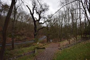  ( © Jiří Čížek 12/2019)
