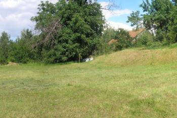 pohled na zbytek pahorku tvrziště od západu ( © Ondřej Štěpánek 08/2008)