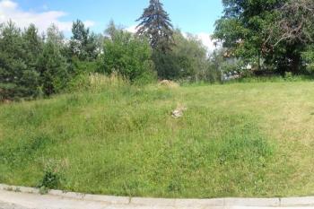 ohyb hrany terasy nesoucí pozůstatky tvrziště ( © Ondřej Štěpánek 08/2008)