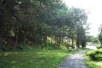 pohled na zvedající se svah pahorku tvziště ( © Ondřej Štěpánek 08/2008)